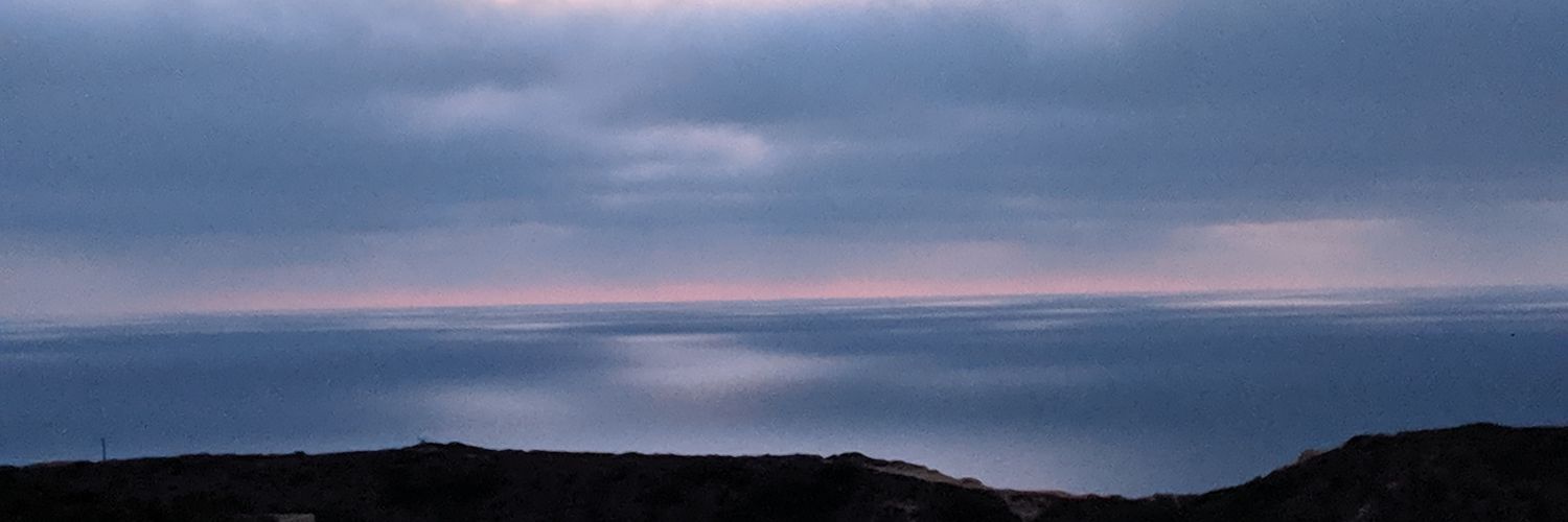 Alexandria M P Schieber banner