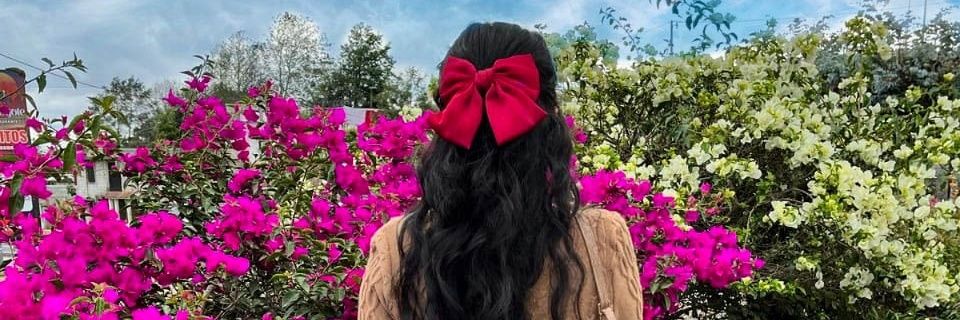 SoyCaty_'s profile banner image