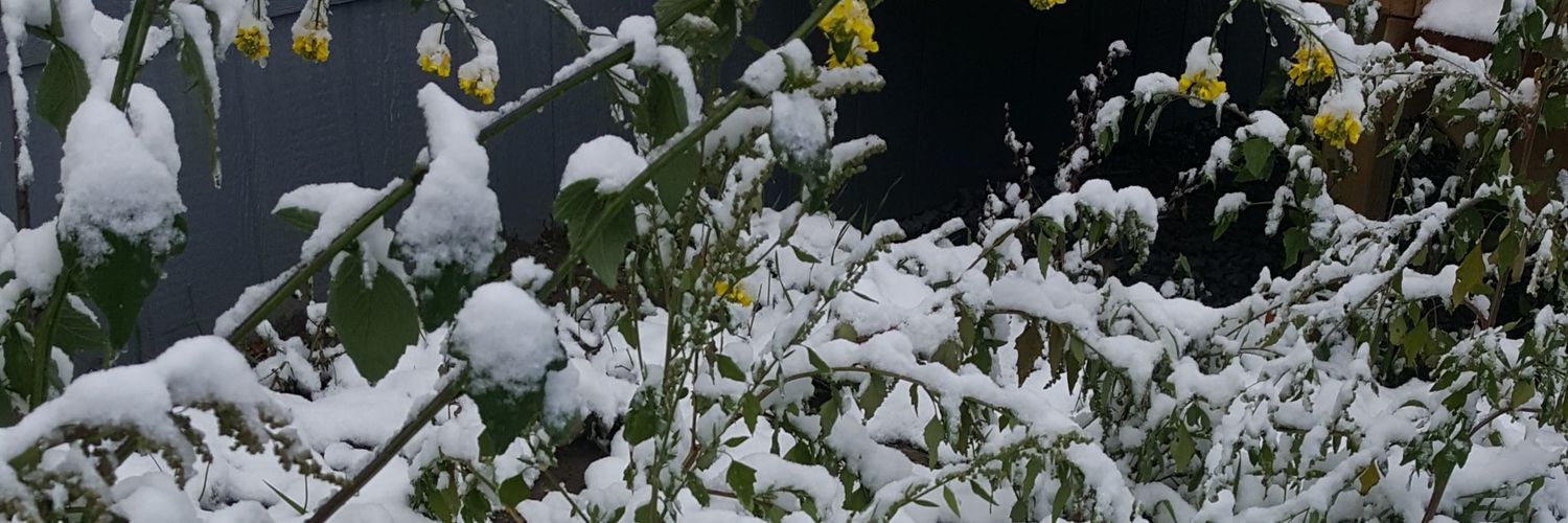 BeHappy102500's profile banner image