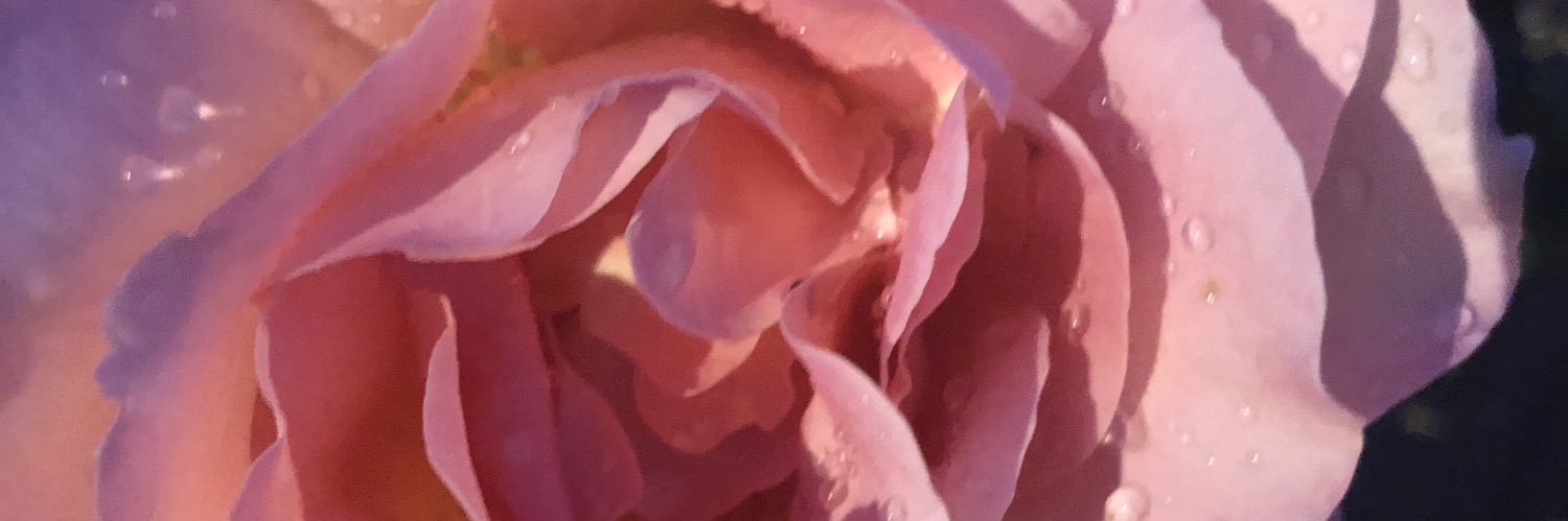 JRoseJim's profile banner image