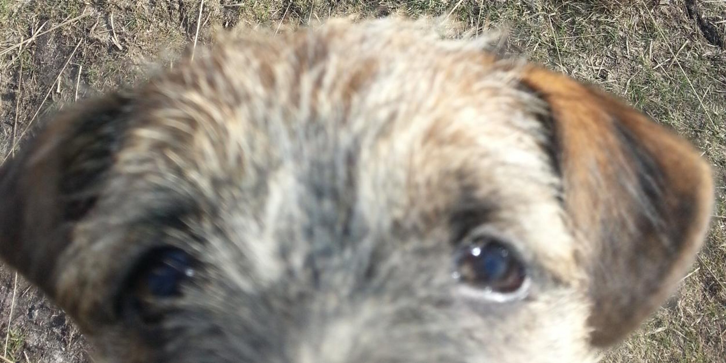 BiscuitBT's profile banner image