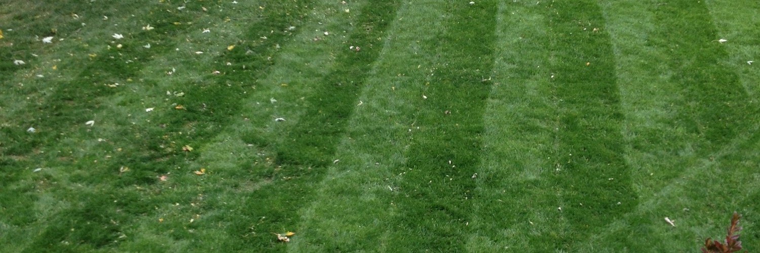 efish72's profile banner image