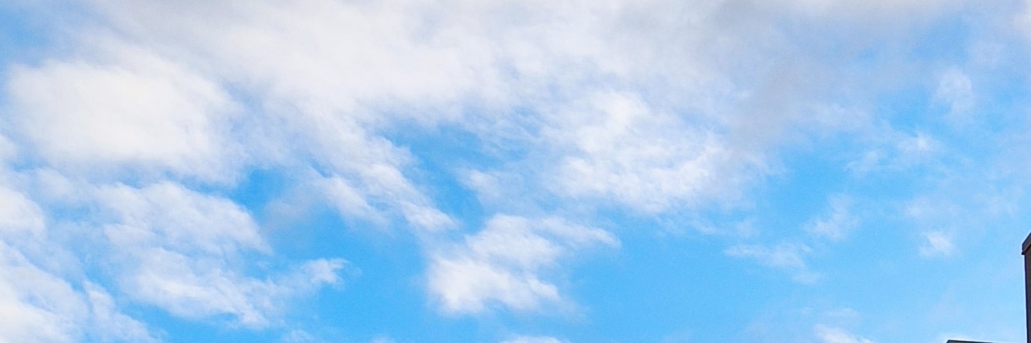 srptrksy's profile banner image
