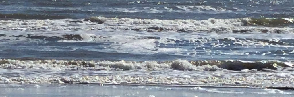 Beach1946's profile banner image