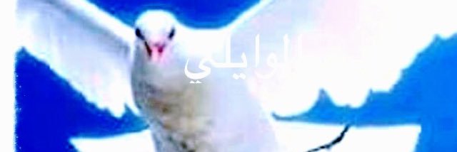 salemalgaload's profile banner image