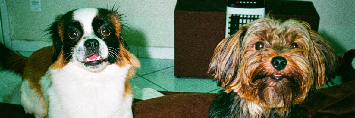 srod_vic's profile banner image
