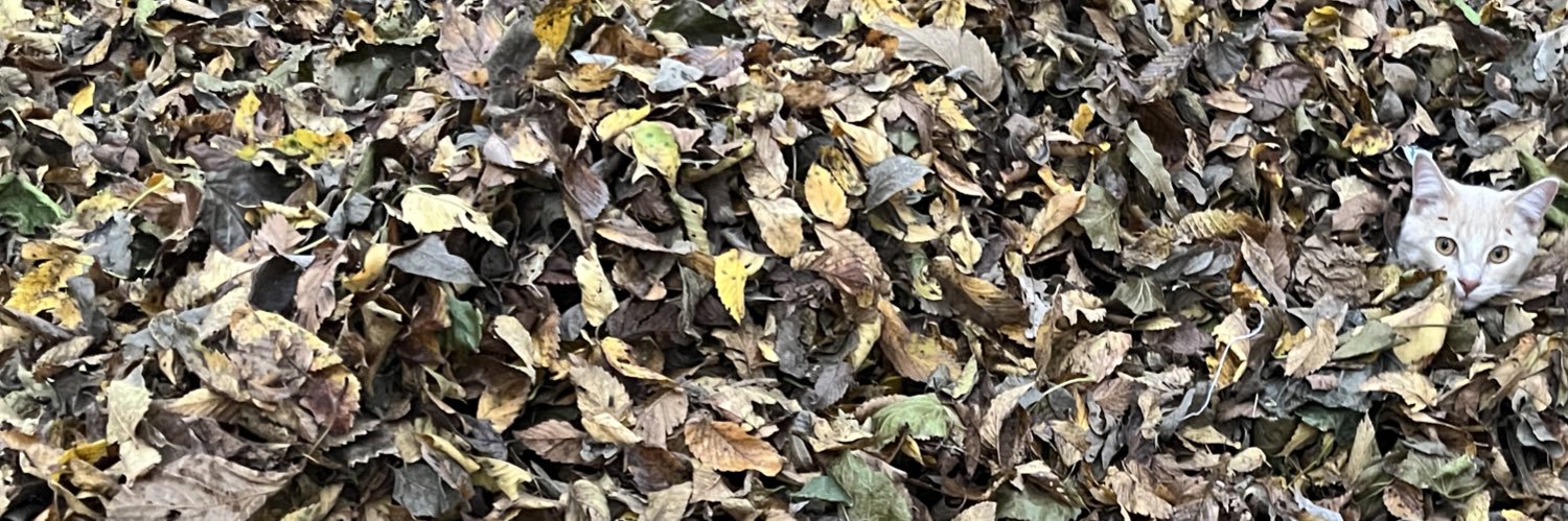 michaelhyden33's profile banner image