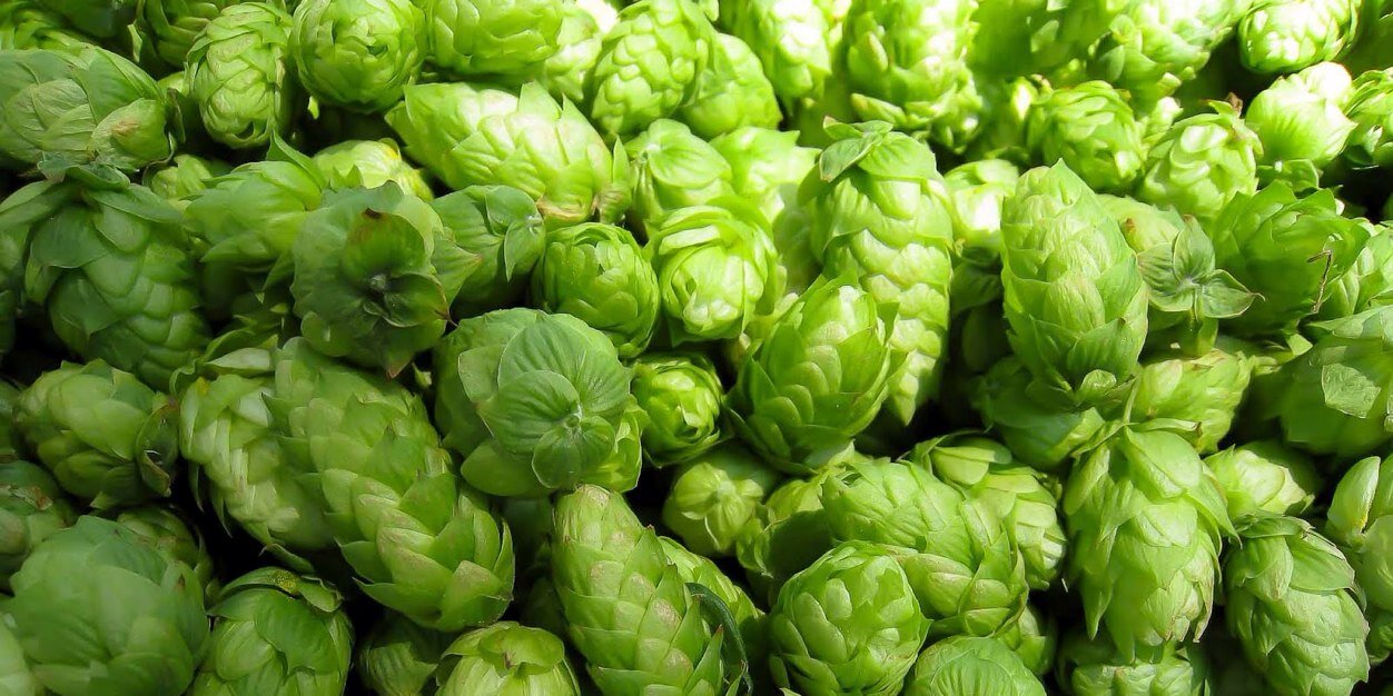 PaskertBrewery's profile banner image