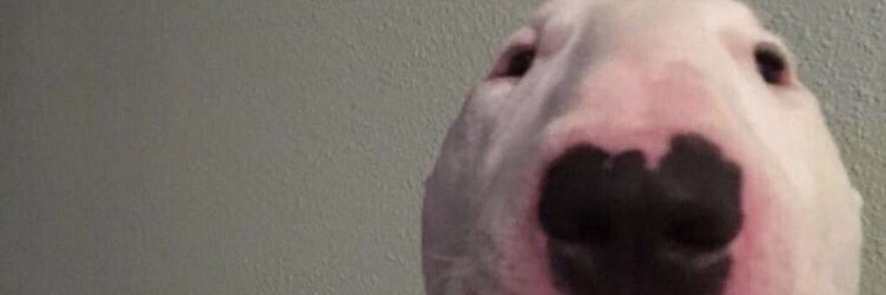 coreyphung's profile banner image