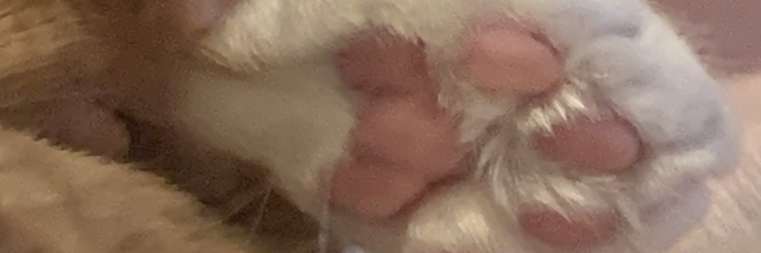 jfaisdusal's profile banner image