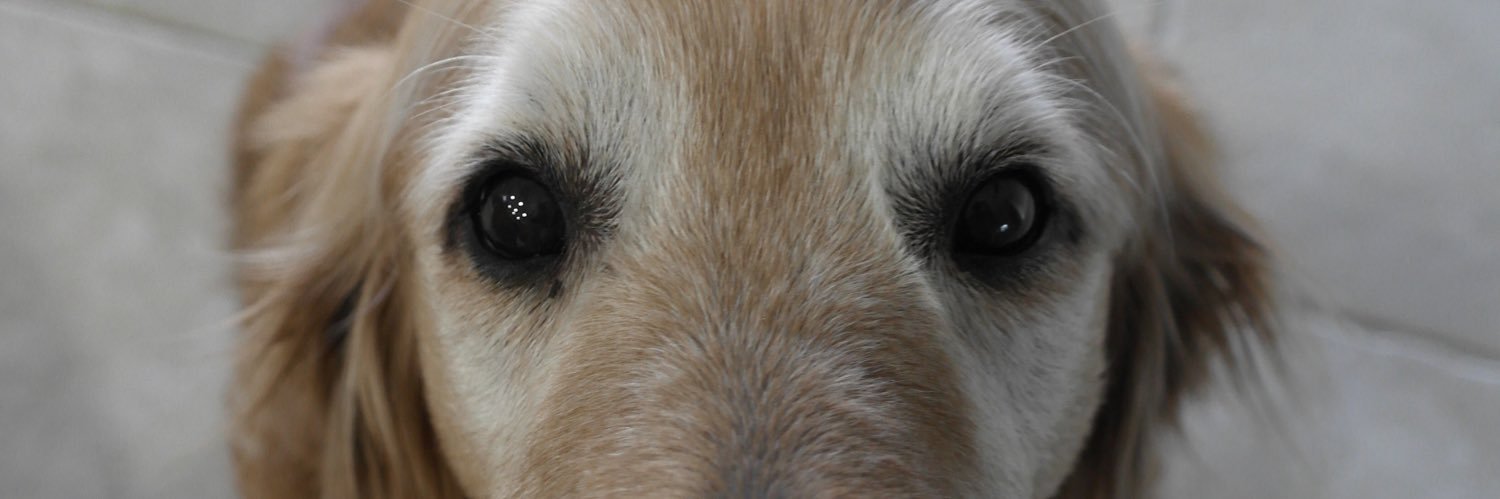 connorwooten's profile banner image