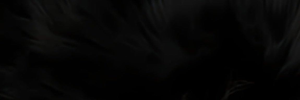 nidddin's profile banner image