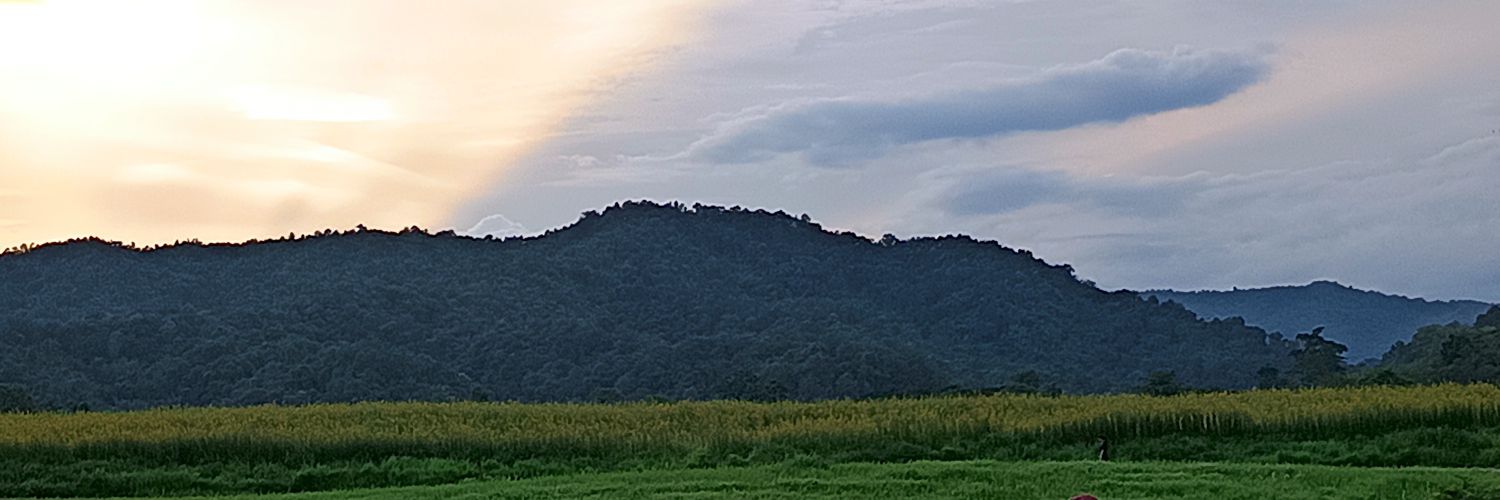 katz383's profile banner image
