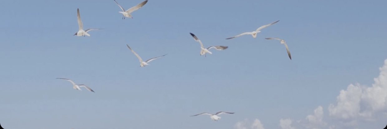 silverfeverr's profile banner image
