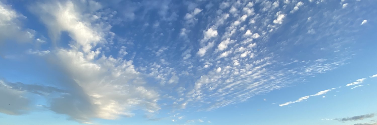 audreyasmine96's profile banner image