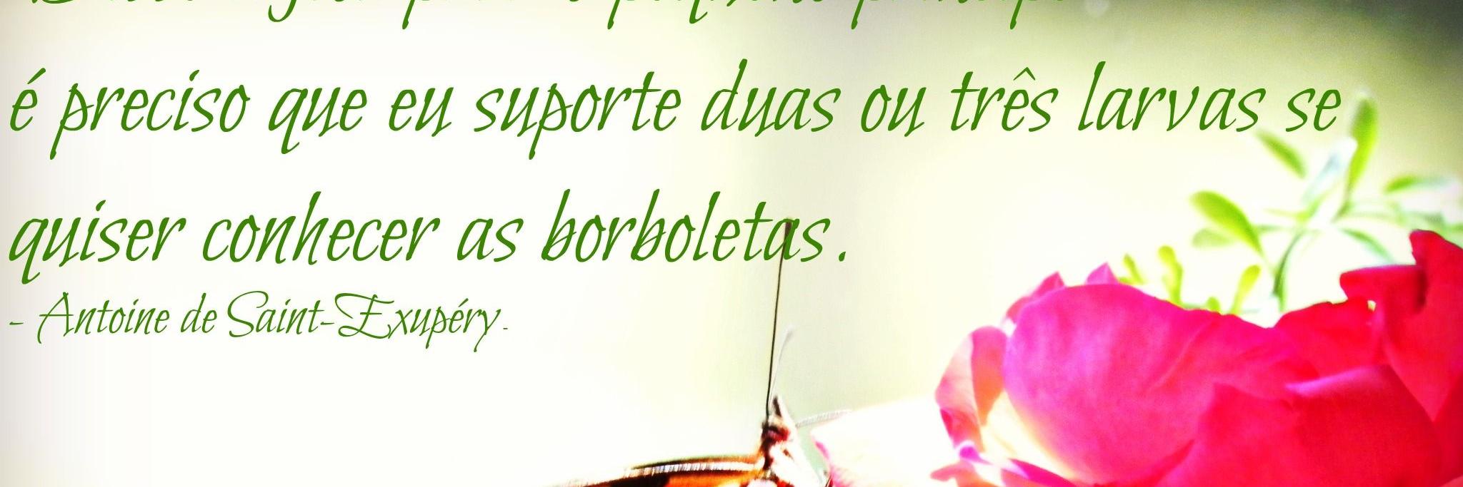 CatarinaPF's profile banner image