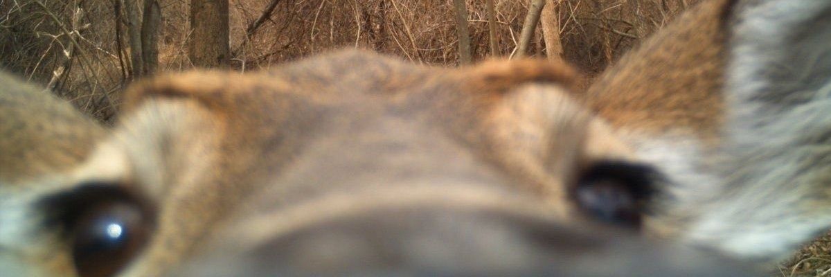 eltro_lito's profile banner image