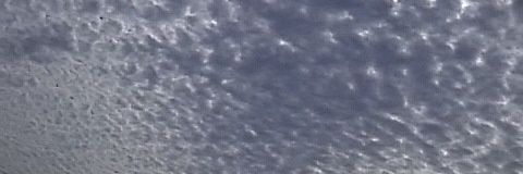 tippapett's profile banner image