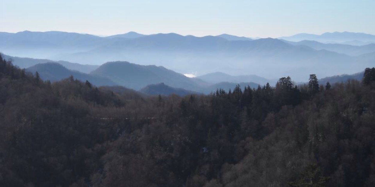 cale_wood's profile banner image