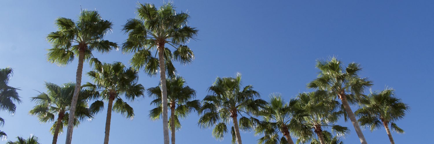 layne1001's profile banner image