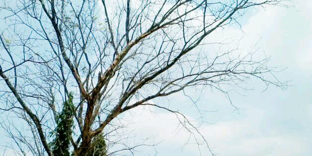 tuentionee's profile banner image
