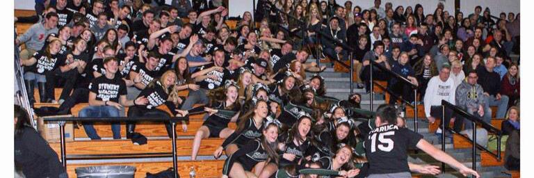 SHSBleacherCreatures banner