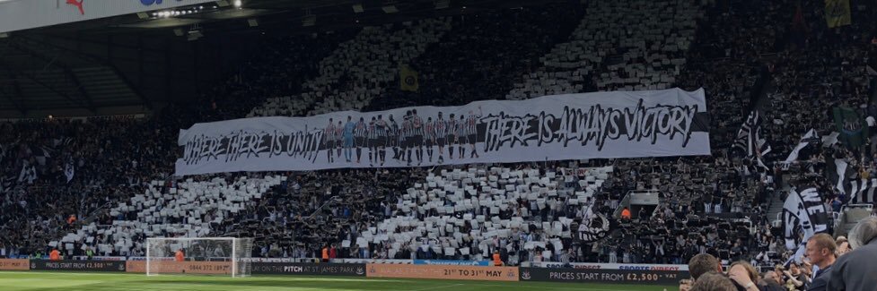 David 👽 banner