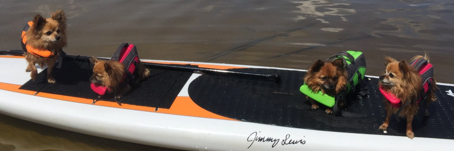 Freeridebradley's profile banner image