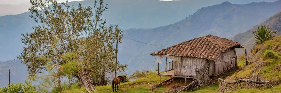 Colombianacepa's profile banner image