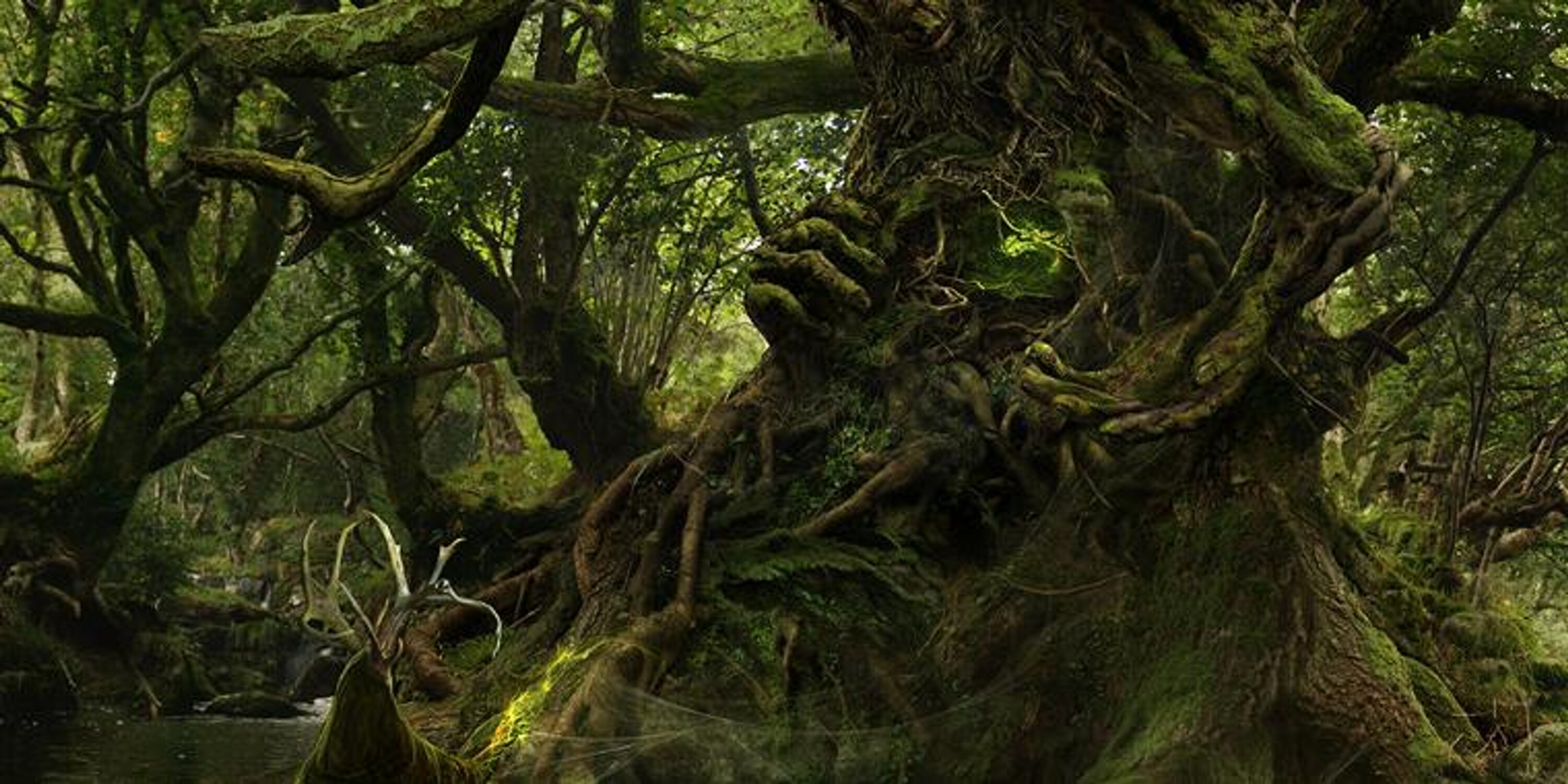 MidsummersTrick's profile banner image