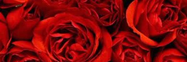 IDmayang Profile Banner