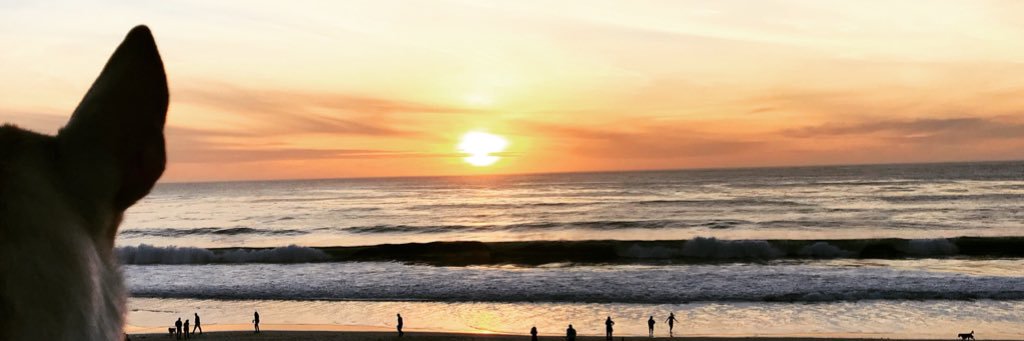 MrBowling34's profile banner image
