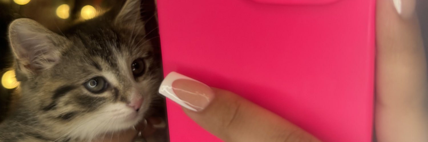bellginv's profile banner image