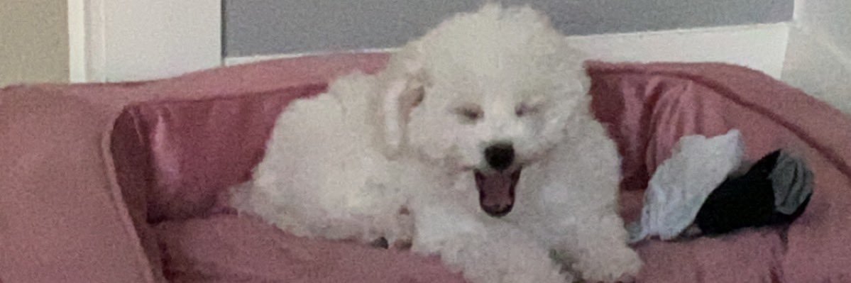 dudey300's profile banner image