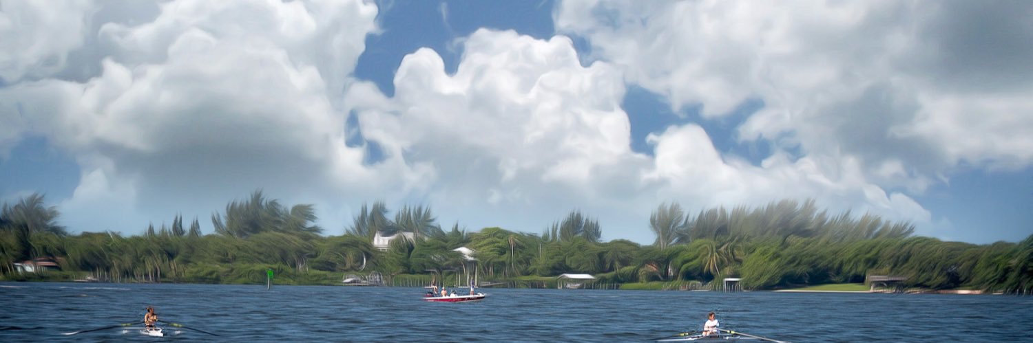 Dog Photographer banner