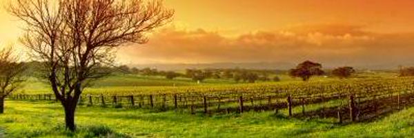 SimonMEvans Profile Banner