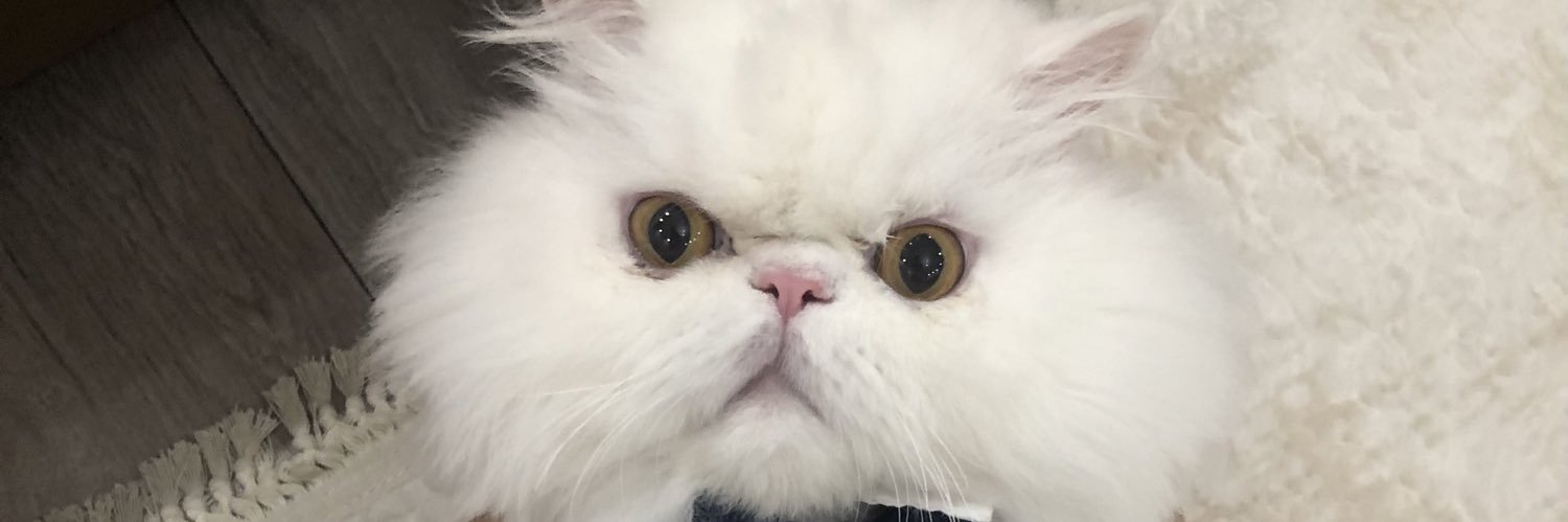 dmlozcn's profile banner image