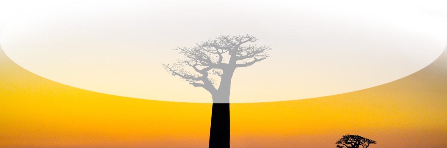 Brouers's profile banner image