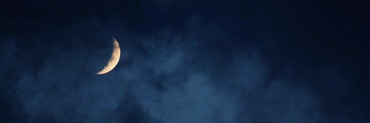 jesseniarod_'s profile banner image