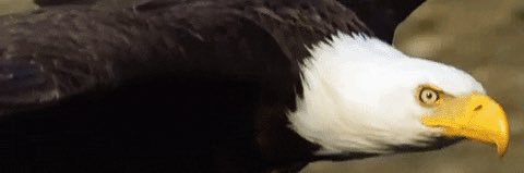 eyuptepe's profile banner image