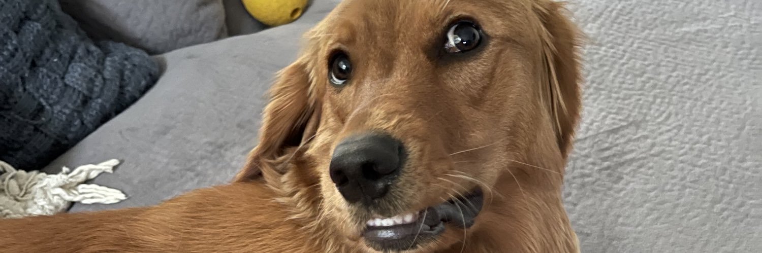 brittt_boyerr's profile banner image