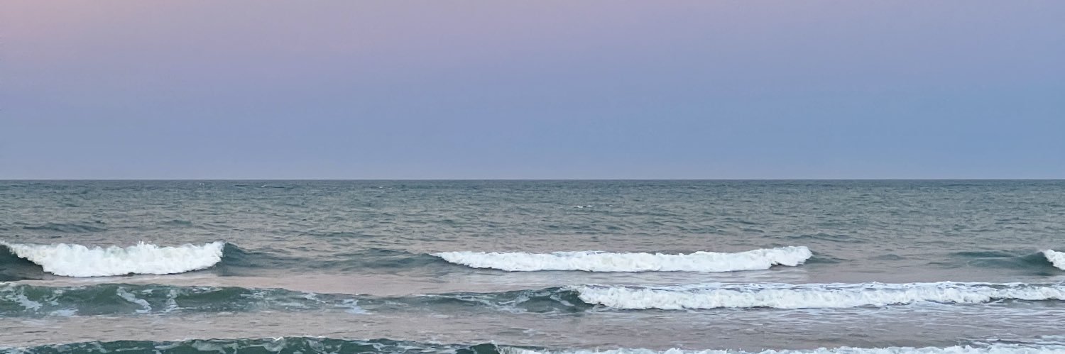 vicubarreto's profile banner image