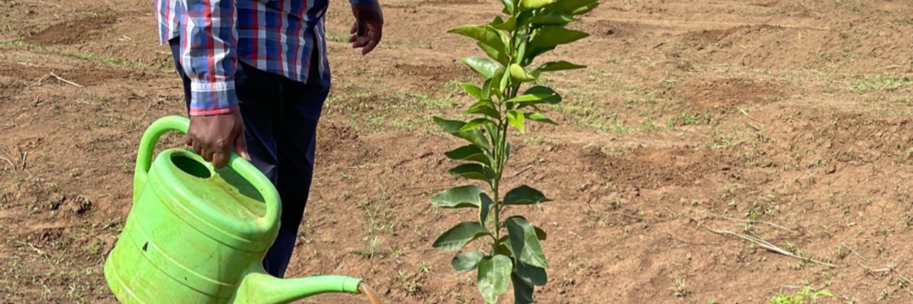 Henry K. Rotich, EGH banner