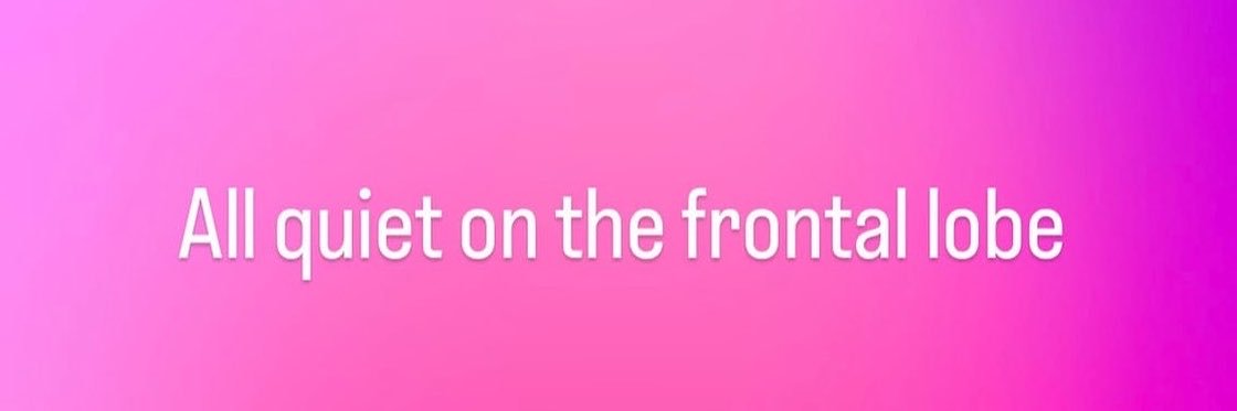 birdllip's profile banner image