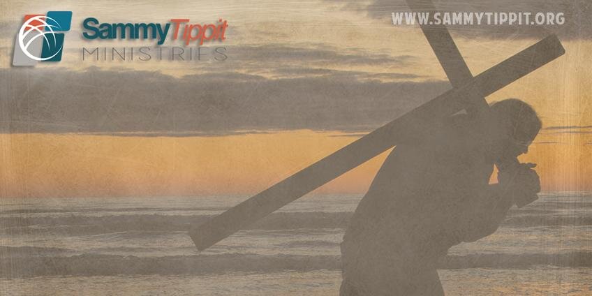 sammytippit's profile banner image