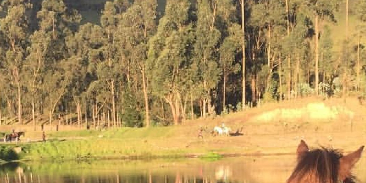 m2_augusta's profile banner image