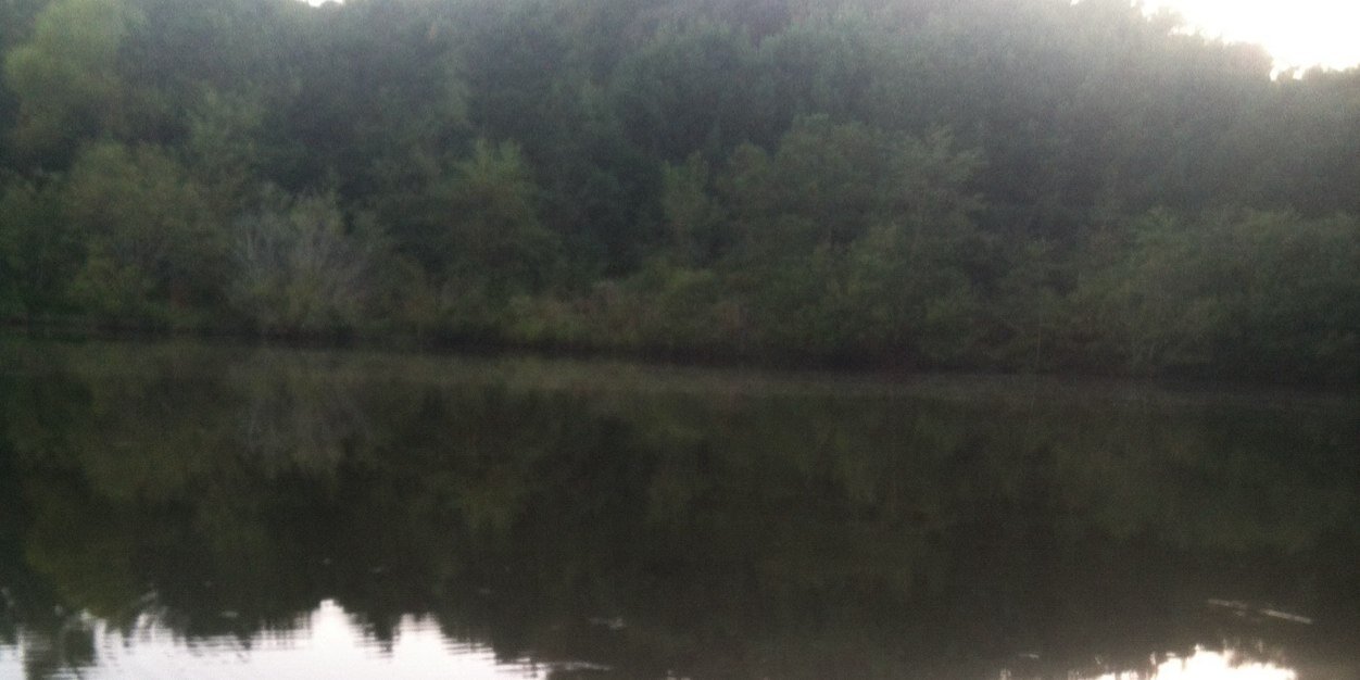 RealFishers's profile banner image