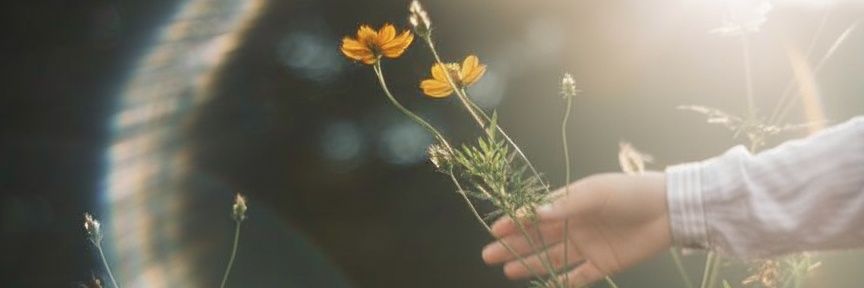 taastories's profile banner image