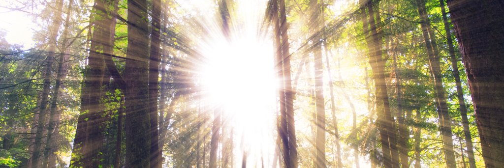 PastorSterling's profile banner image