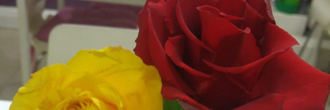cengiz şıklı banner